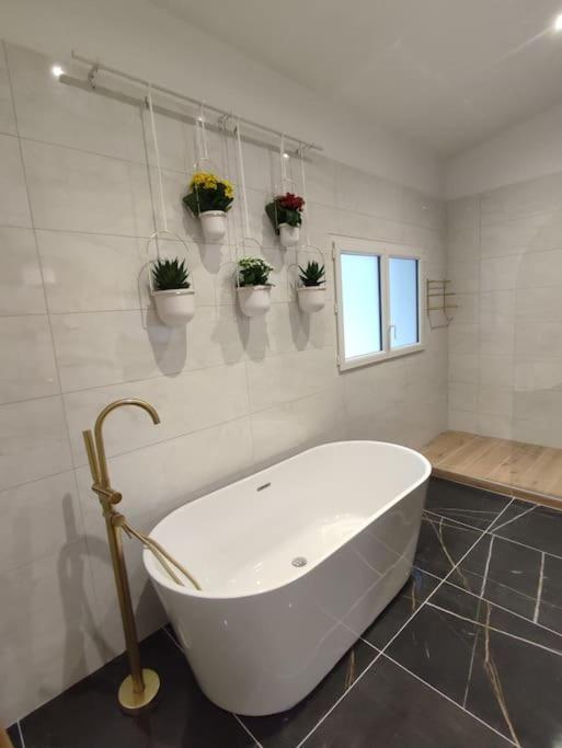 Appartement Le Secret 140M2, Proche Sanctuaires, Climatise Лурд Экстерьер фото
